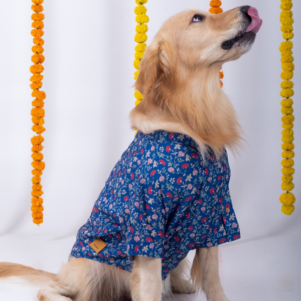 15 Furries Bageecha Kurta for Dogs