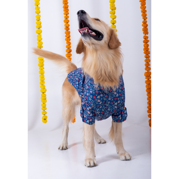 15 Furries Bageecha Kurta for Dogs