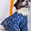 15 Furries Bageecha Kurta for Dogs Dogs-Clothing & Accessories 15 Furries Dropship
