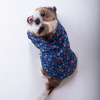 15 Furries Bageecha Kurta for Dogs Dogs-Clothing & Accessories 15 Furries Dropship