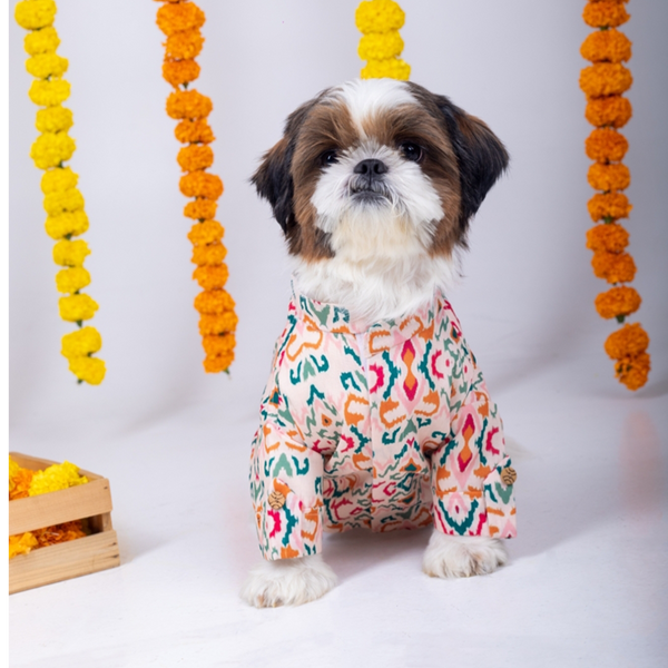 15 Furries Rangeela Kurta for Dogs
