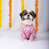 15 Furries Utsav Kurta for Dogs Dogs-Clothing & Accessories 15 Furries Dropship