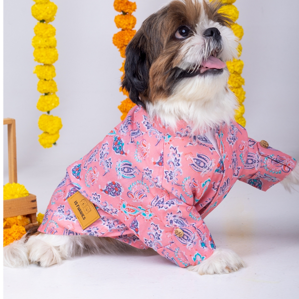 15 Furries Utsav Kurta for Dogs