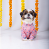 15 Furries Utsav Kurta for Dogs Dogs-Clothing & Accessories 15 Furries Dropship