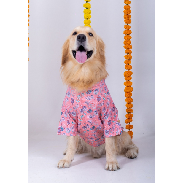 15 Furries Utsav Kurta for Dogs