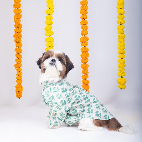 15 Furries Hariyali Kurta for Dogs
