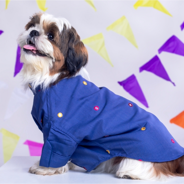 15 Furries Mirrorwork Kurta for Dogs (Persian Blue)