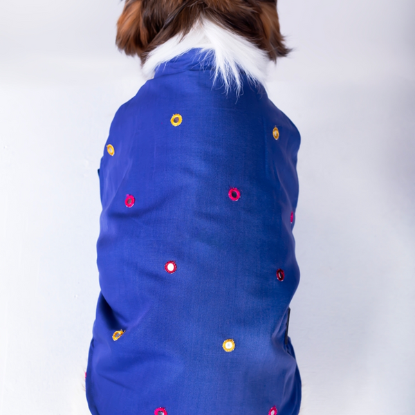 15 Furries Mirrorwork Kurta for Dogs (Persian Blue)