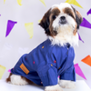 15 Furries Mirrorwork Kurta for Dogs (Persian Blue) Dogs-Clothing & Accessories 15 Furries Dropship