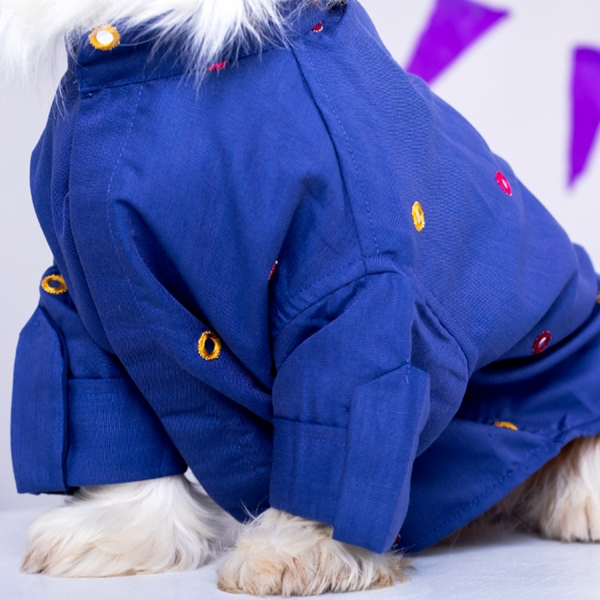 15 Furries Mirrorwork Kurta for Dogs (Persian Blue)
