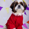 15 Furries Mirrorwork Kurta for Dogs (Electric Red) Dogs-Clothing & Accessories 15 Furries Dropship