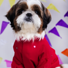 15 Furries Mirrorwork Kurta for Dogs (Electric Red) Dogs-Clothing & Accessories 15 Furries Dropship