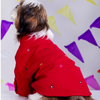 15 Furries Mirrorwork Kurta for Dogs (Electric Red) Dogs-Clothing & Accessories 15 Furries Dropship