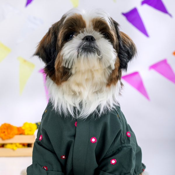 15 Furries Mirrorwork Kurta for Dogs (Hunter Green)