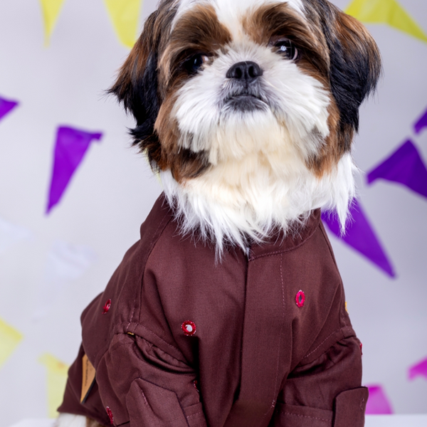 15 Furries Mirrorwork Kurta for Dogs (Chocolate Brown)