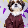 15 Furries Mirrorwork Kurta for Dogs (Chocolate Brown) Dogs-Clothing & Accessories 15 Furries Dropship