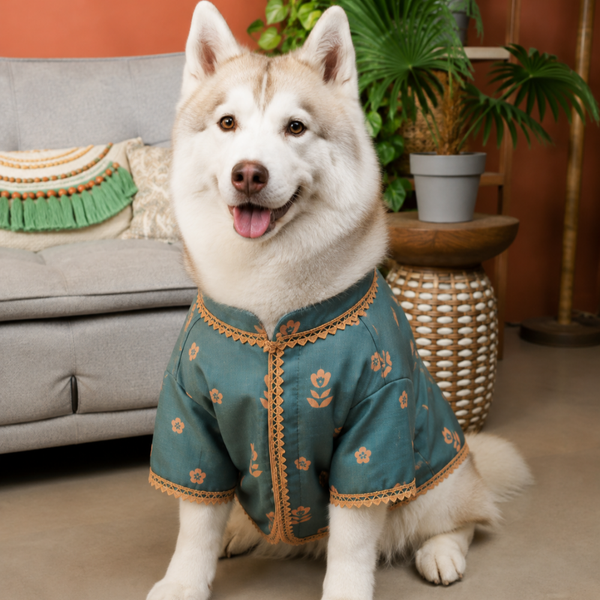 15 Furries Khwaish Kurta for Dogs (Teal Blue)