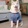 15 Furries Desi Denim Kurta for Dogs (Indigo) Dogs-Clothing & Accessories 15 Furries Dropship