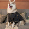 15 Furries Desi Denim Kurta for Dogs (Grey) Dogs-Clothing & Accessories 15 Furries Dropship