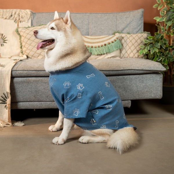 15 Furries Desi Denim Kurta for Dogs (Blue)