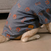 15 Furries Desi Denim Kurta for Dogs (Indigo) Dogs-Clothing & Accessories 15 Furries Dropship