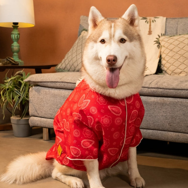 15 Furries Heera Moti Kurta for Dogs (Red)