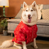 15 Furries Heera Moti Kurta for Dogs (Red) Dogs-Clothing & Accessories 15 Furries Dropship