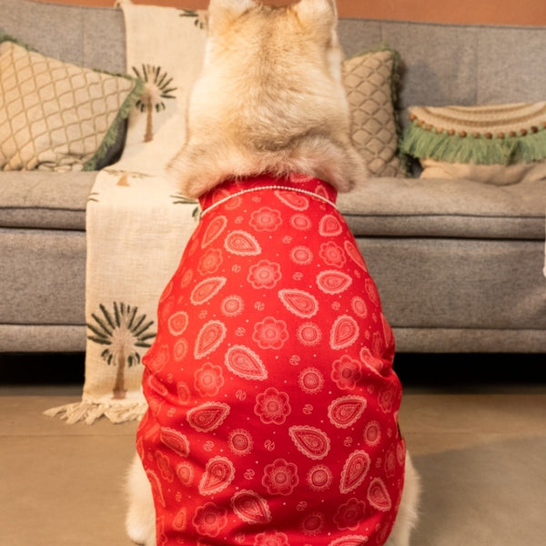 15 Furries Heera Moti Kurta for Dogs (Red)