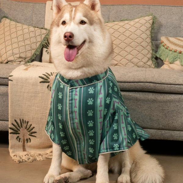 15 Furries Pawrang Kurta for Dogs (Multicolour)