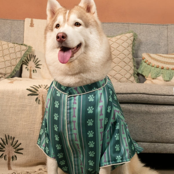 15 Furries Pawrang Kurta for Dogs (Multicolour)