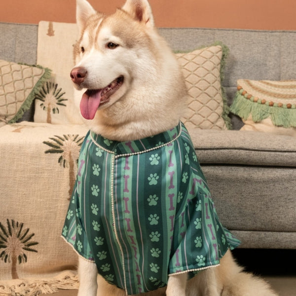15 Furries Pawrang Kurta for Dogs (Multicolour)