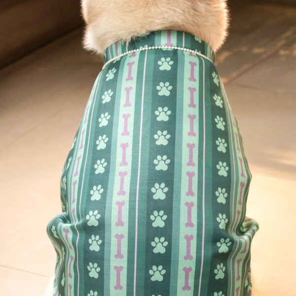 15 Furries Pawrang Kurta for Dogs (Multicolour)