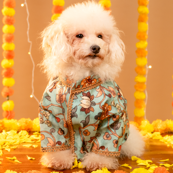 15 Furries Rangrez Kurta for Dogs (Multicolour)