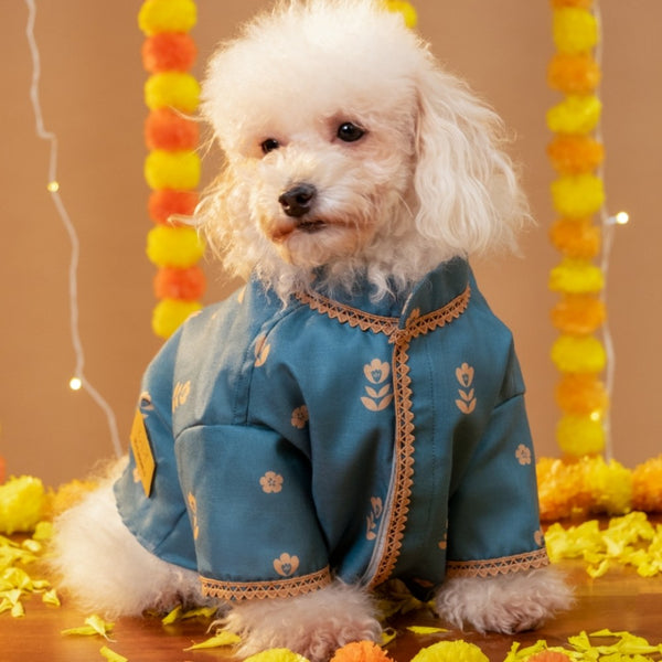 15 Furries Khwaish Kurta for Dogs (Teal Blue)