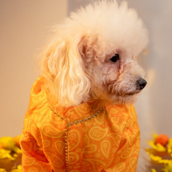 15 Furries Kesariya Kurta for Dogs (Yellow)