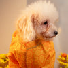 15 Furries Kesariya Kurta for Dogs (Yellow) Dogs-Clothing & Accessories 15 Furries Dropship