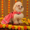 15 Furries Gulabo Lehenga for Dogs (Pink) Dogs-Clothing & Accessories 15 Furries Dropship