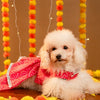 15 Furries Gulabo Lehenga for Dogs (Pink) Dogs-Clothing & Accessories 15 Furries Dropship