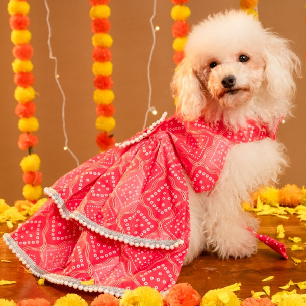 15 Furries Gulabo Lehenga for Dogs (Pink)