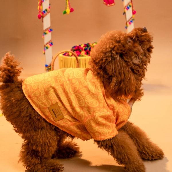 15 Furries Kesariya Kurta for Dogs (Yellow)