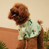 15 Furries Linen Bone Embroidered Kurta for Dogs (Mint Green) Dogs-Clothing & Accessories 15 Furries Dropship