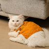 15 Furries Jashn Mustard Sherwani for Cats (Yellow/Gold) Cats-Clothing & Accessories 15 Furries Dropship