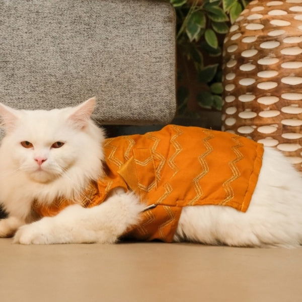 15 Furries Jashn Mustard Sherwani for Cats (Yellow/Gold)