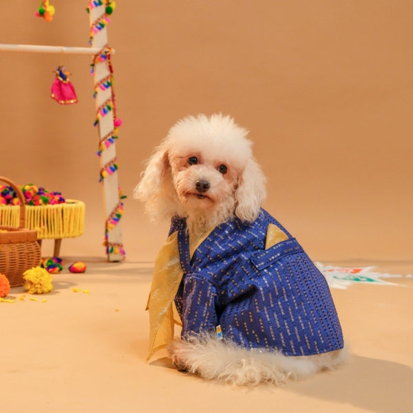 15 Furries Furwali Festival Kurta with Dupatta for Dogs (Royal Blue)