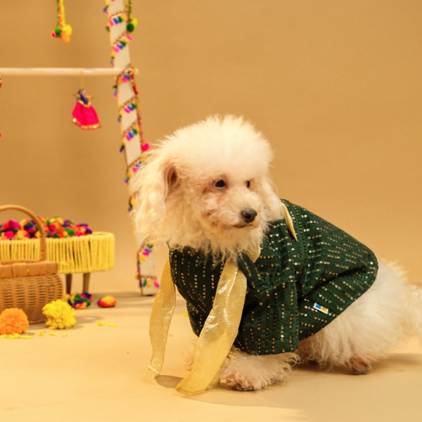 15 Furries Furwali Festival Kurta with Dupatta for Dogs (Bottle Green)