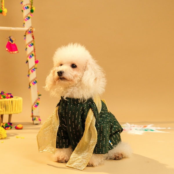 15 Furries Furwali Festival Kurta with Dupatta for Dogs (Bottle Green)