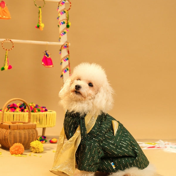 15 Furries Furwali Festival Kurta with Dupatta for Dogs (Bottle Green)