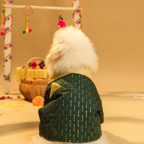 15 Furries Furwali Festival Kurta with Dupatta for Dogs (Bottle Green)