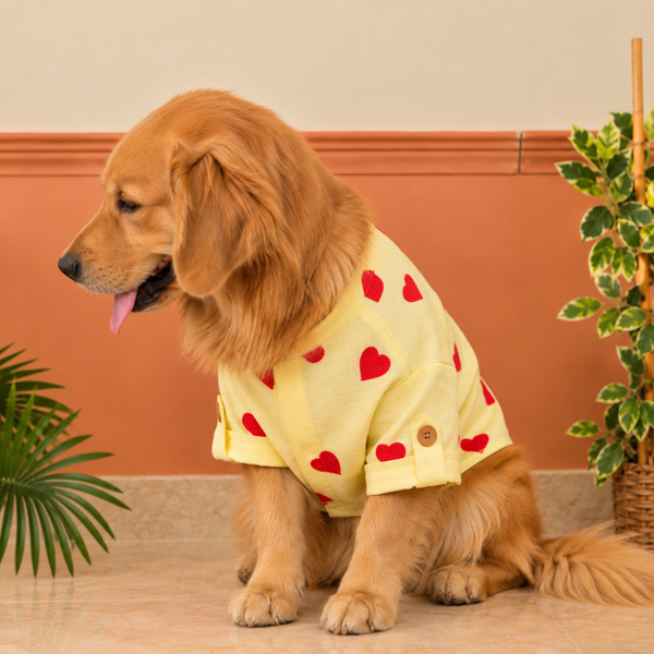 15 Furries Linen Heart Embroidered Kurta for Dogs (Lemon Yellow)