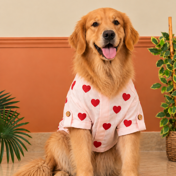 15 Furries Linen Heart Embroidered Kurta for Dogs (Baby Pink)